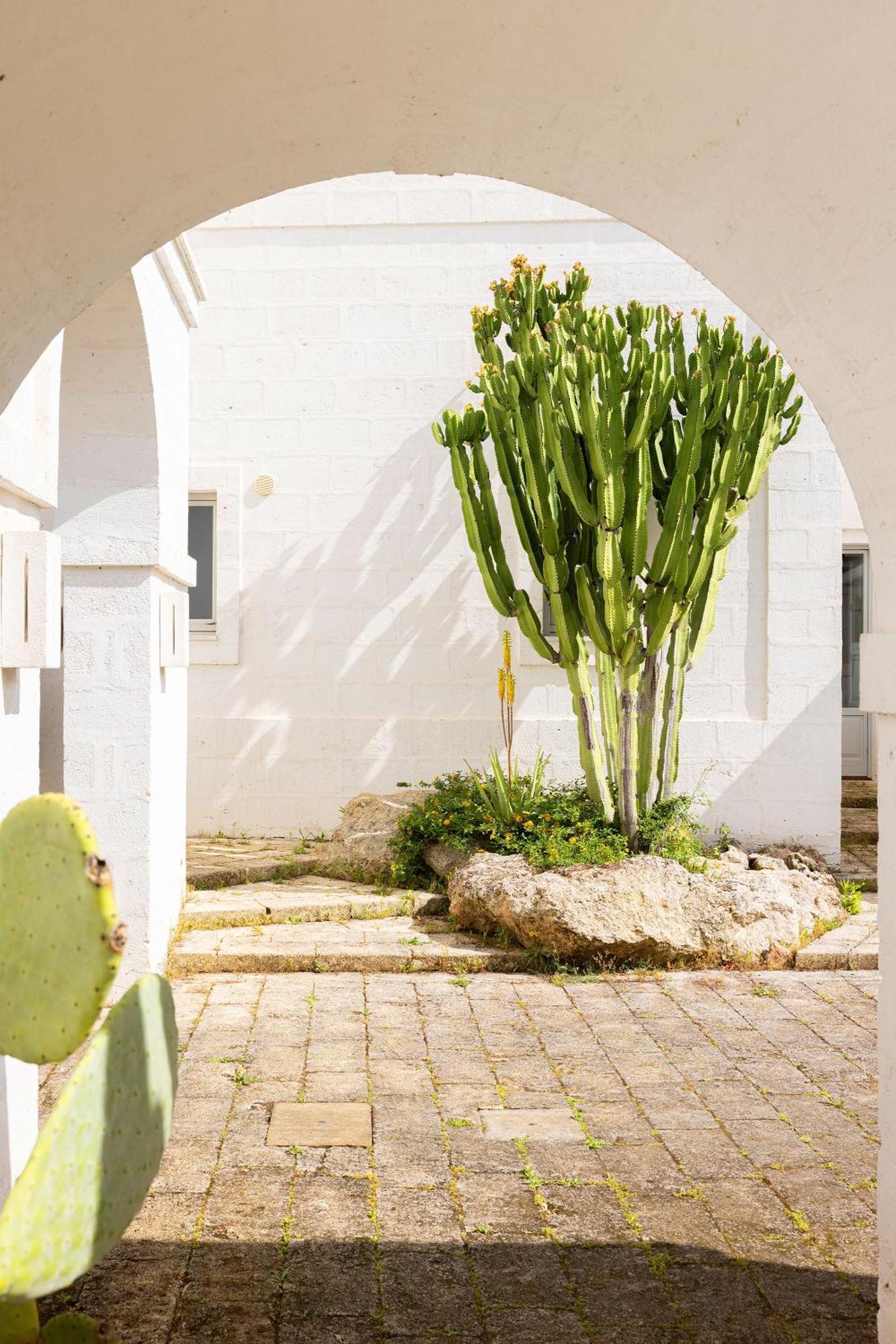 Masseria San Francesco Savelletri ภายนอก รูปภาพ