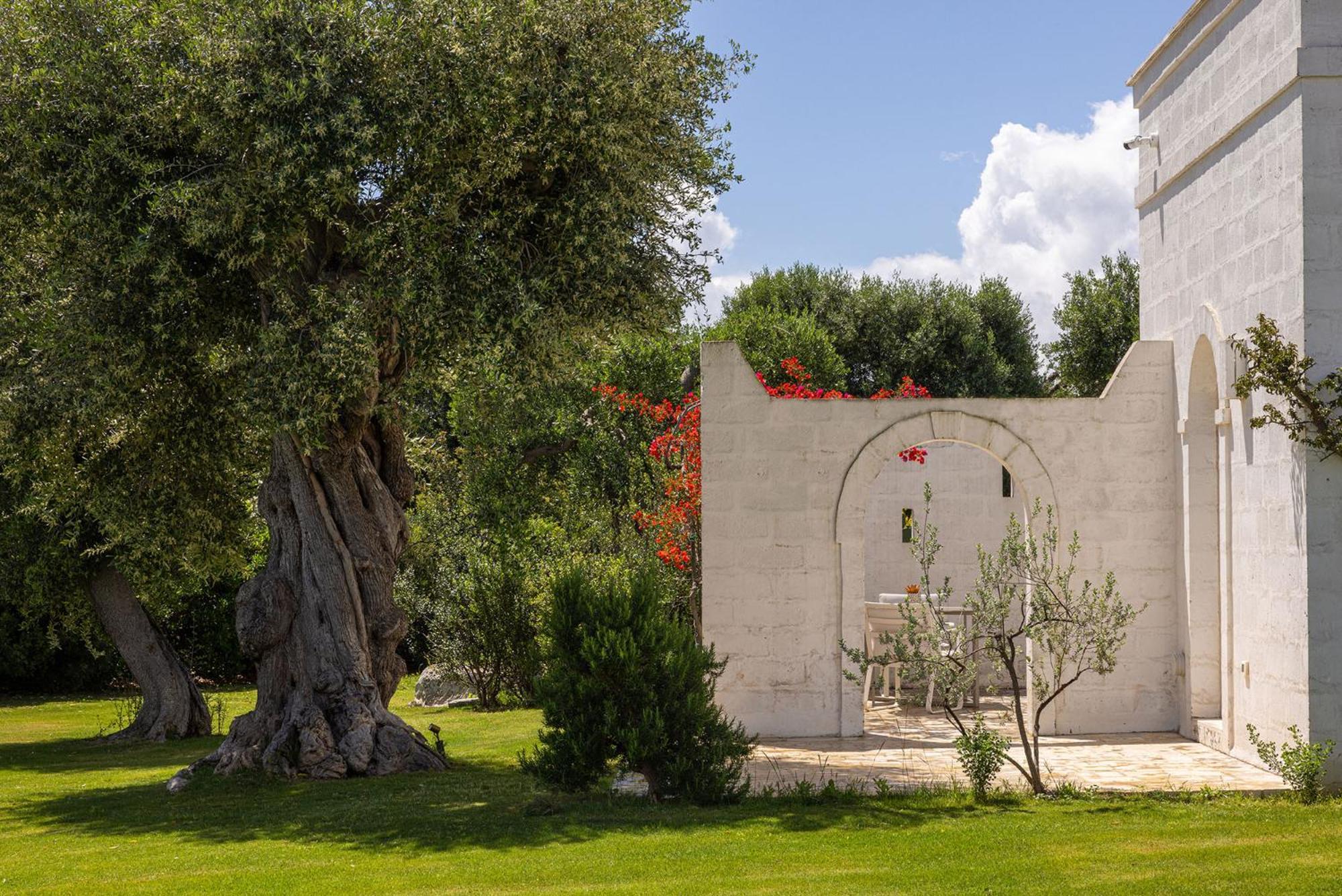 Masseria San Francesco Savelletri ภายนอก รูปภาพ